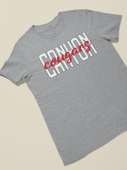 Canyon Script